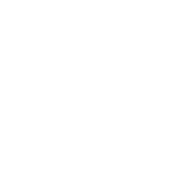 Lien Tik Tok